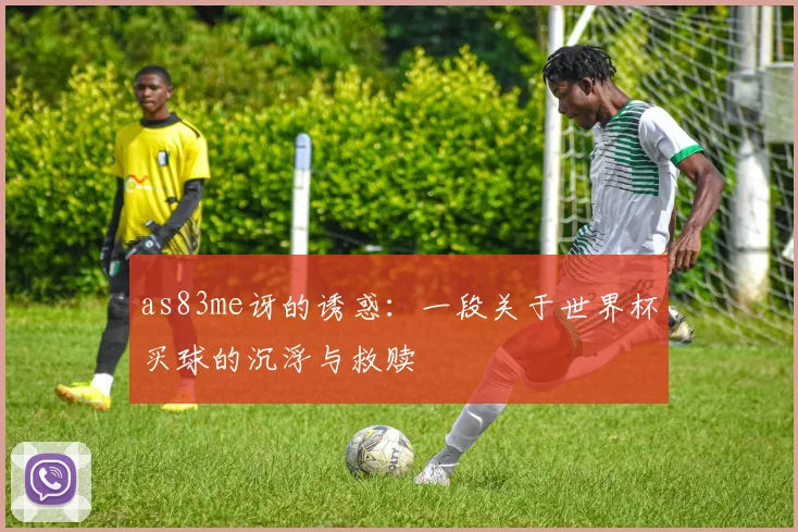 as83me讶的诱惑：一段关于世界杯买球的沉浮与救赎