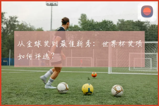 从金球奖到最佳新秀：世界杯奖项如何评选？