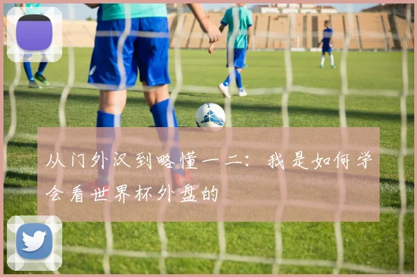 从门外汉到略懂一二：我是如何学会看世界杯外盘的