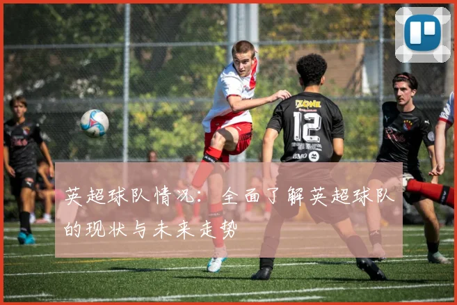 英超球队情况：全面了解英超球队的现状与未来走势